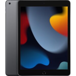Apple iPad (9th Gen) 10.2in Wi-Fi 256GB - Space Grey